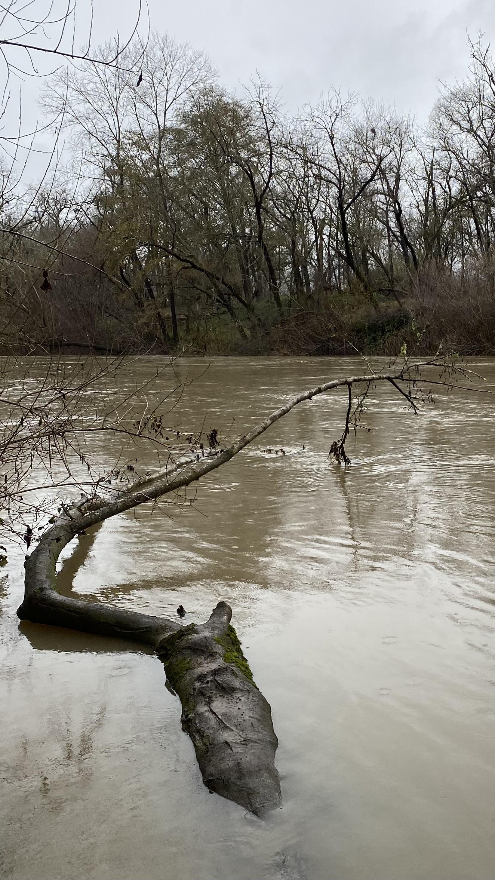 S2 05 Russian River Quietude 1