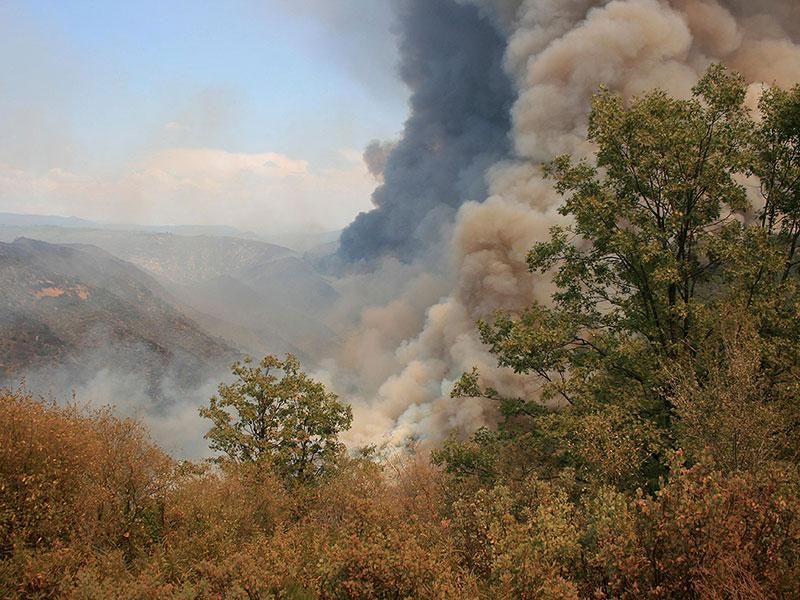 0930 wildfires