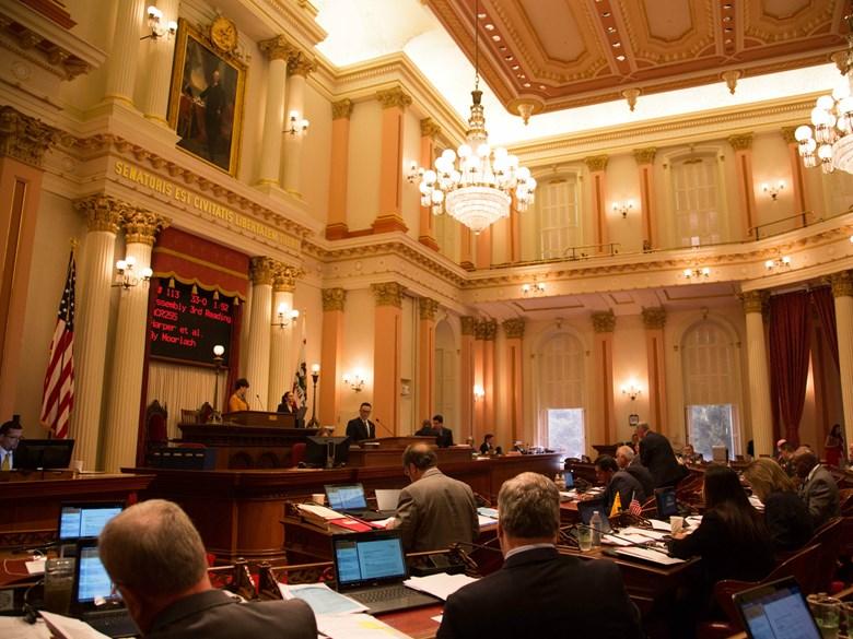 CA senate major
