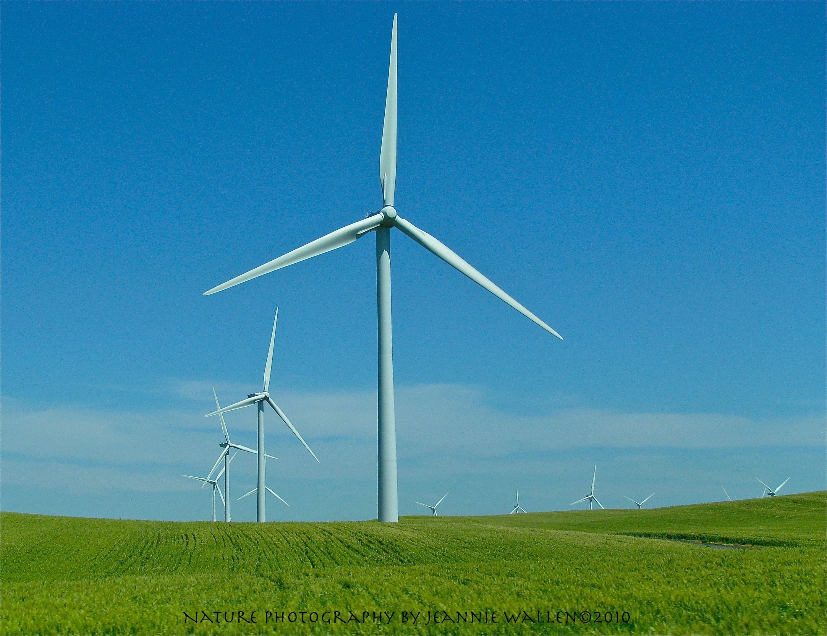 California Wind Power 4622700210