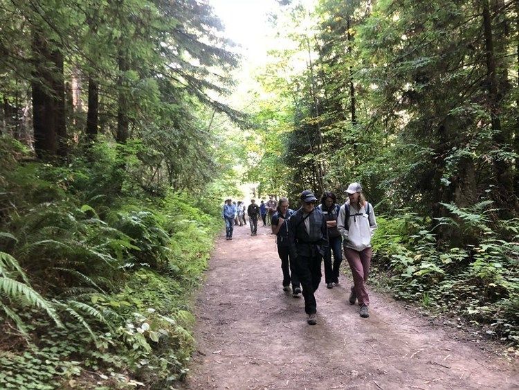 Redwoods Walk EDR
