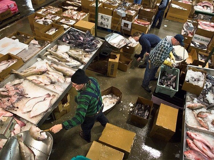 Seafood fraud