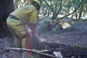 calfire project 2 300x200