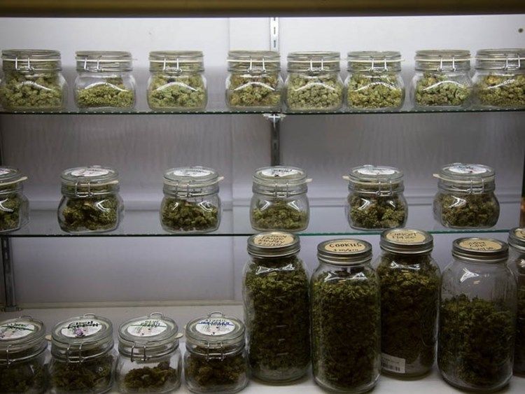 pot deliver