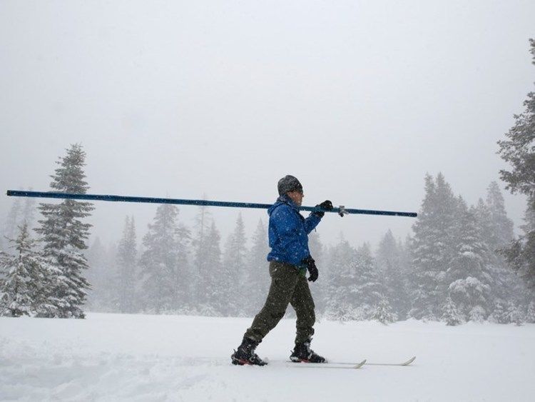 snowpack king