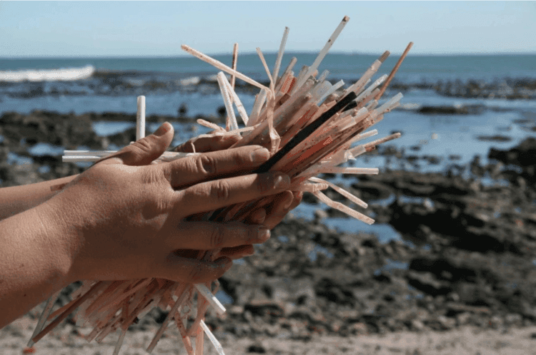 straws on beach