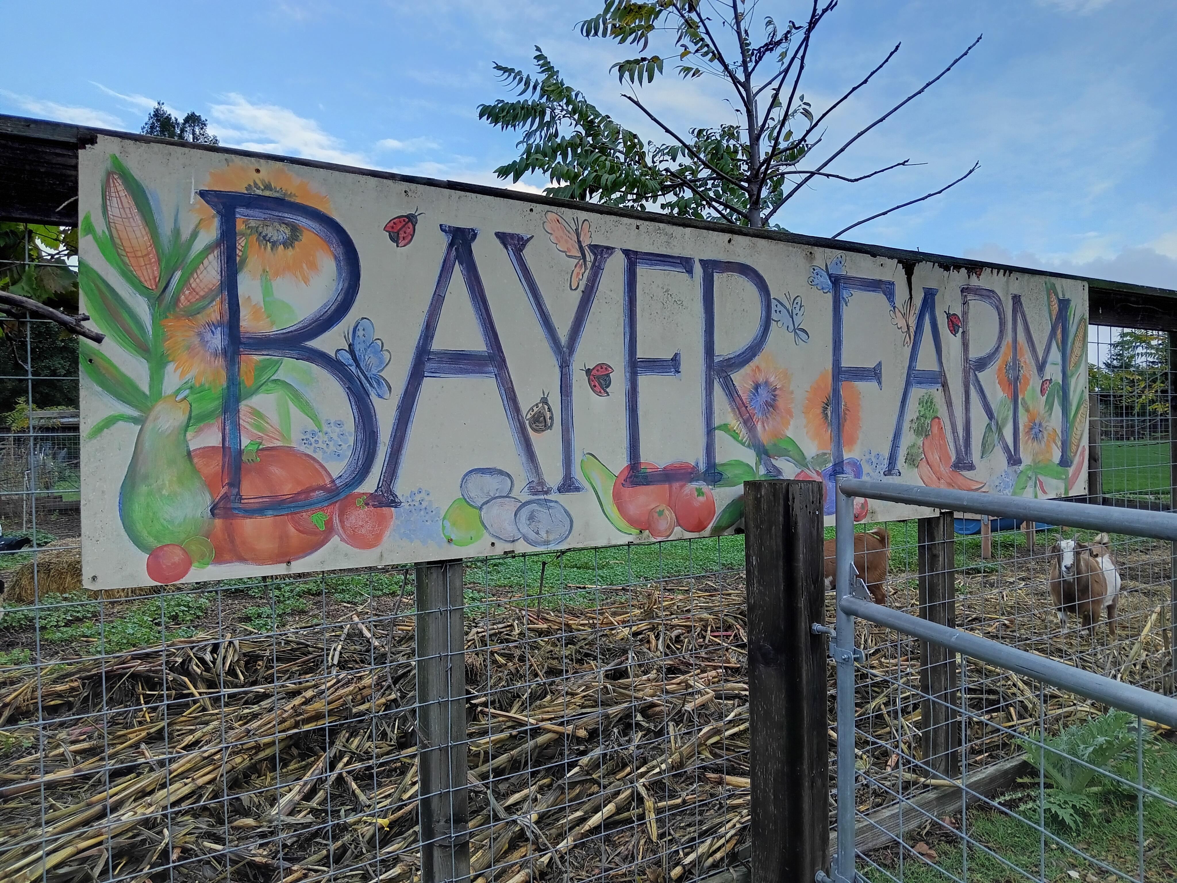 Bayer banner