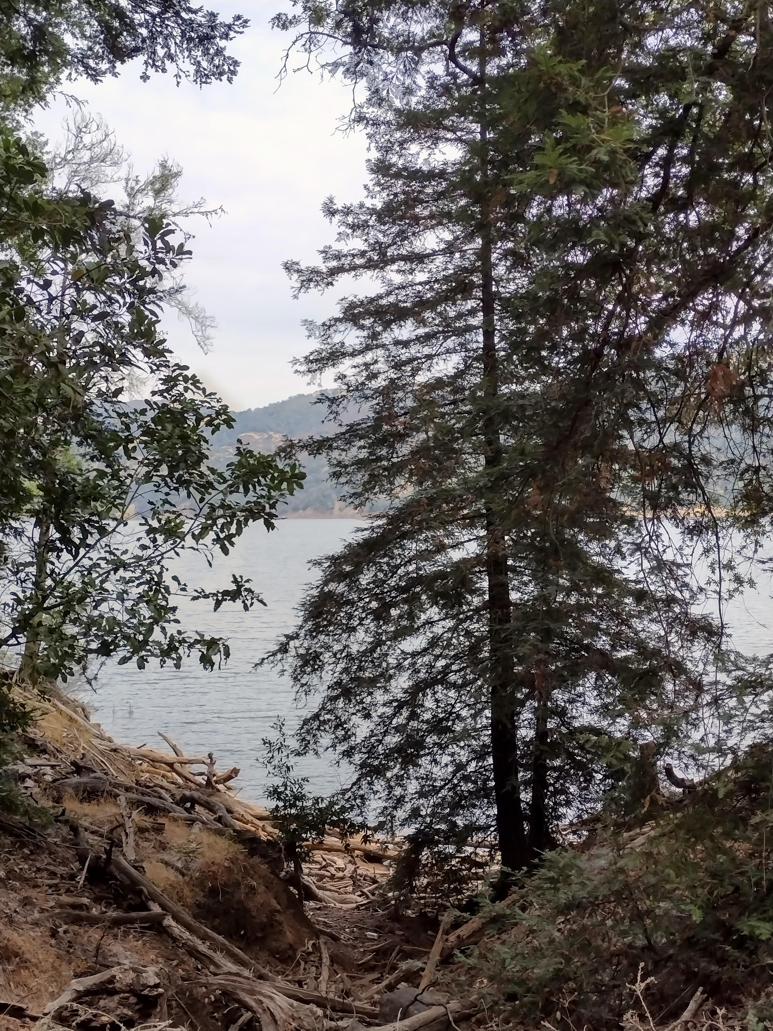 lake sonoma
