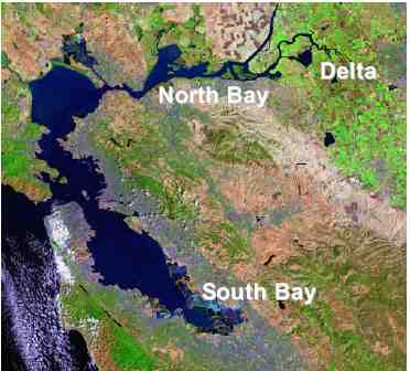 Bay estuary