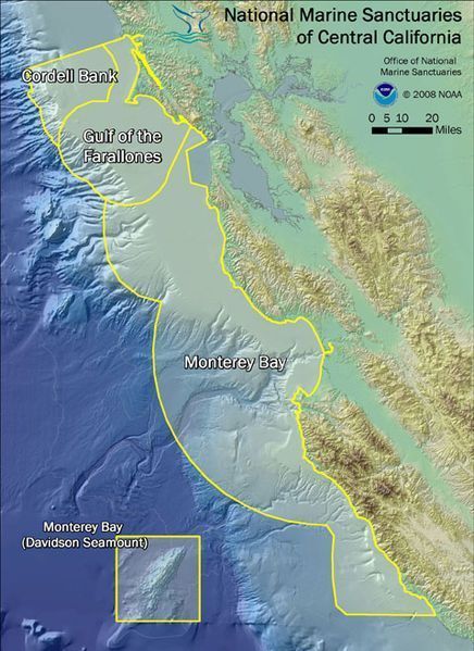 Marine Sanctuaries