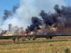 Wildfire3