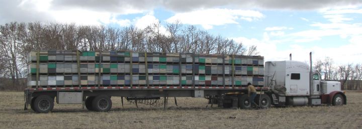 hives on flatbed