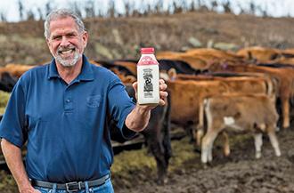 Albert Cows330px