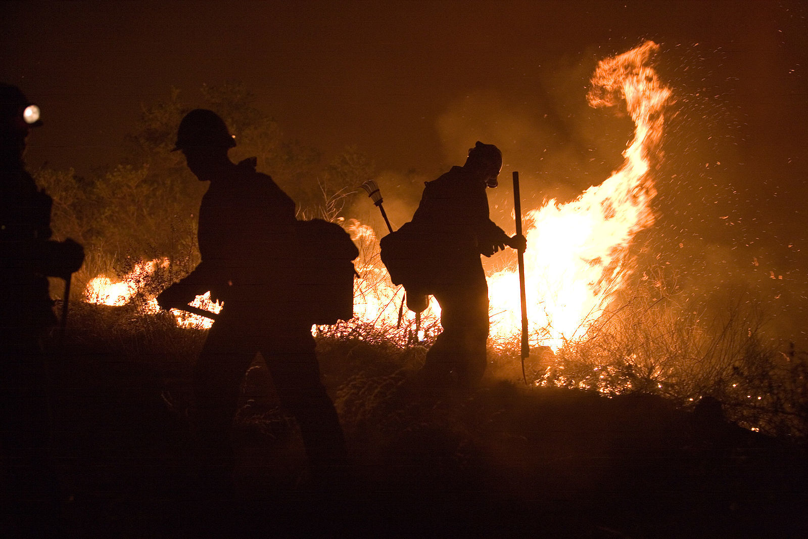 1599px FEMA 33318 Firefighters setting a back burn in California