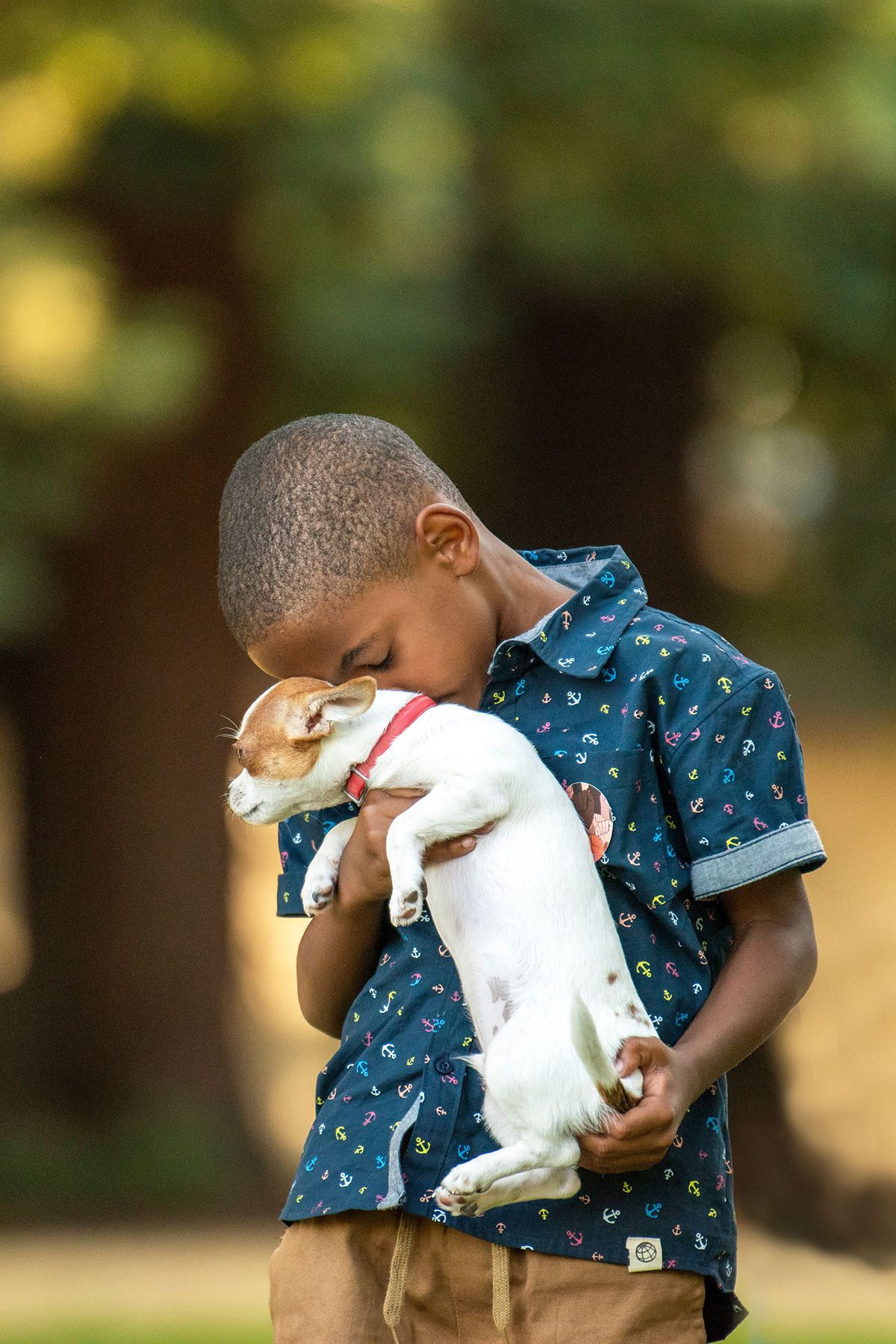 boy dog