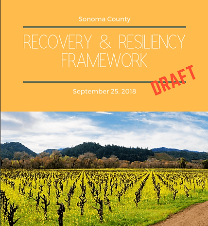 Recvoery plan 2