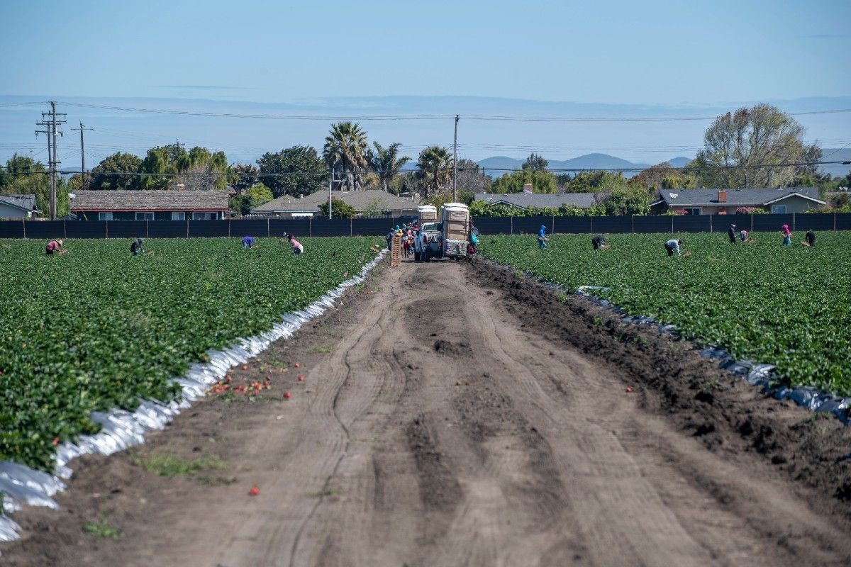 041820FarmworkerPay1