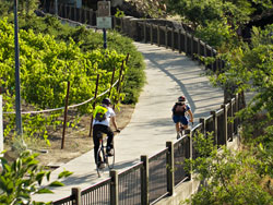 bikes_index.jpg