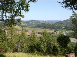 healdsburg_index.jpg