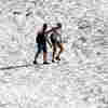It Was A Balmy 90 Degrees In Anchorage — For The 1st Time On Record