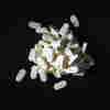 Your Guide To The Massive (And Massively Complex) Opioid Litigation