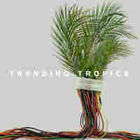 Cover for Trending Tropics