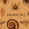 From Vector To Zoonotic: A Glossary For Infectious Diseases