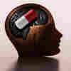 A Neuroscientist Explores The Biology Of Addiction In 