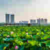Can Coronavirus Be Crushed By Warmer Weather?