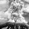 Mount St. Helens: New Life, 30 Years Later