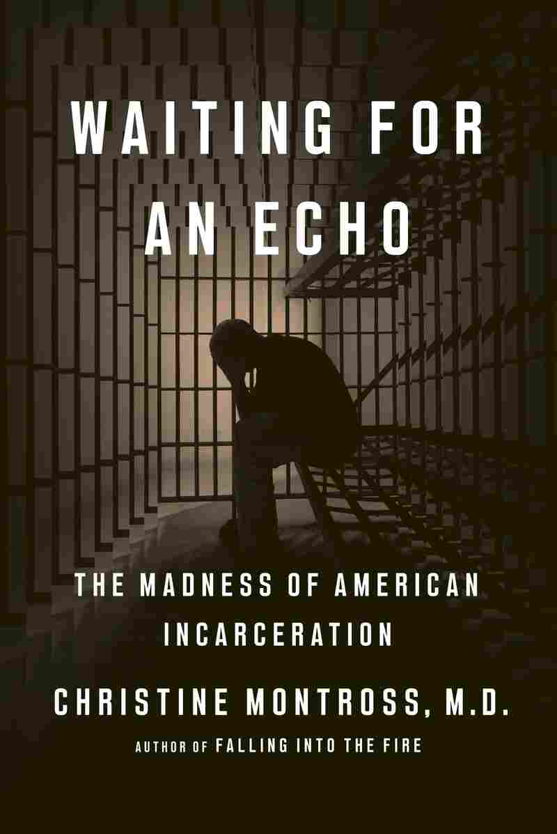Waiting for an Echo, by Christine Montross
