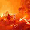 Why Firefighting Alone Won't Stop Western Mega-Fires