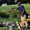 'Make Farmers Black Again': African Americans Fight Discrimination To Own Farmland
