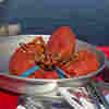 U.S. Lobster Dealers Hope To Claw Back Market Share In Europe 