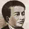A Black Scientist Was An Early Cicada Researcher. His Work Has Been Mostly Overlooked