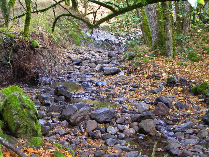 Copeland_creek