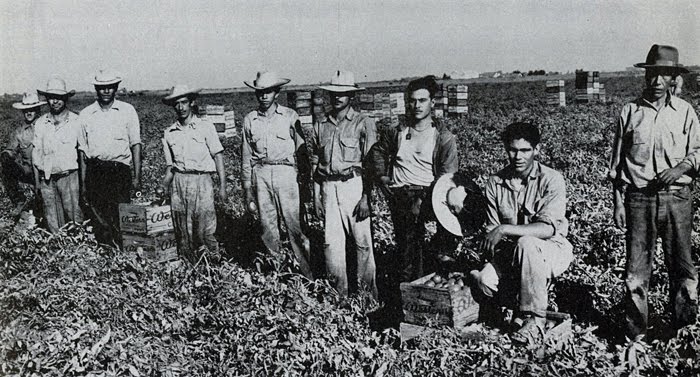 braceros