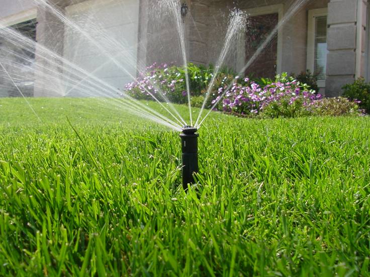 lawn-irrigation-1