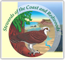 stewards-logo