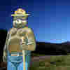 How The Smokey Bear Effect Led To Raging Wildfires