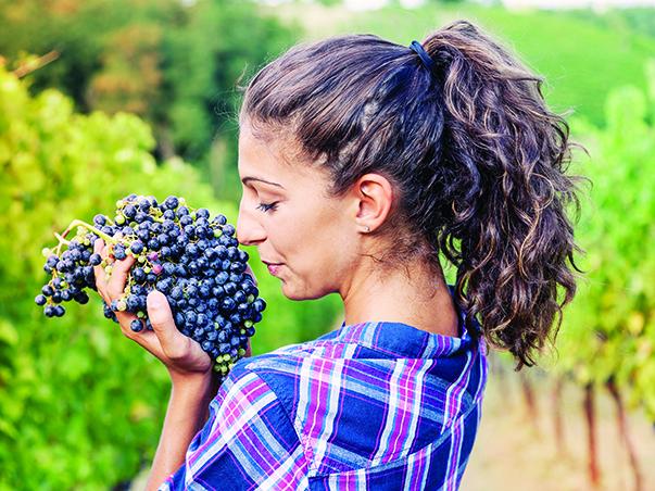 BAB womeninwine 603x452