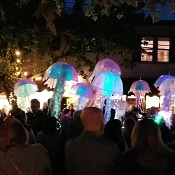 Jellyfish at WinterBlast