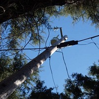 Help Us Investigate PG&E’s Power Lines
