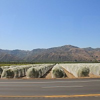 Seats at Stake in California Congressional Races (Aired: October 29, 2020) 800px California Farm 222622145