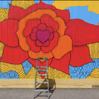 Radio Special: Democracy In Santa Rosa's First District Screen Shot 2020 11 20 at 5.37.26 PM