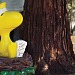 Bird Rescue Center of Sonoma County Relocation Project (Aired: August 7, 2019)