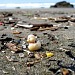 California Coastal Cleanup Day 2019 (Aired: September 2, 2019)