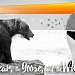 On the Next All-New Snap, "The Bear, The  Goose, and the Whale" - Saturday at 10 am